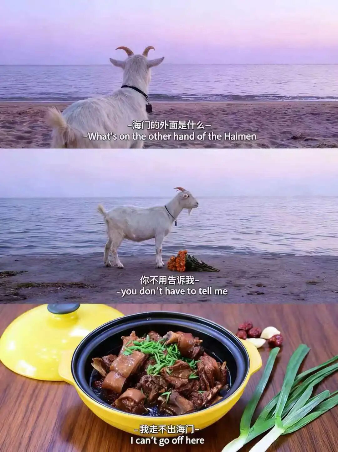 快抓住!这只想逃出海门的山羊 - 关注南通 - 濠滨论坛