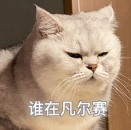 9188c68b-7e76-44dc-836a-aff8bb0e1082.png